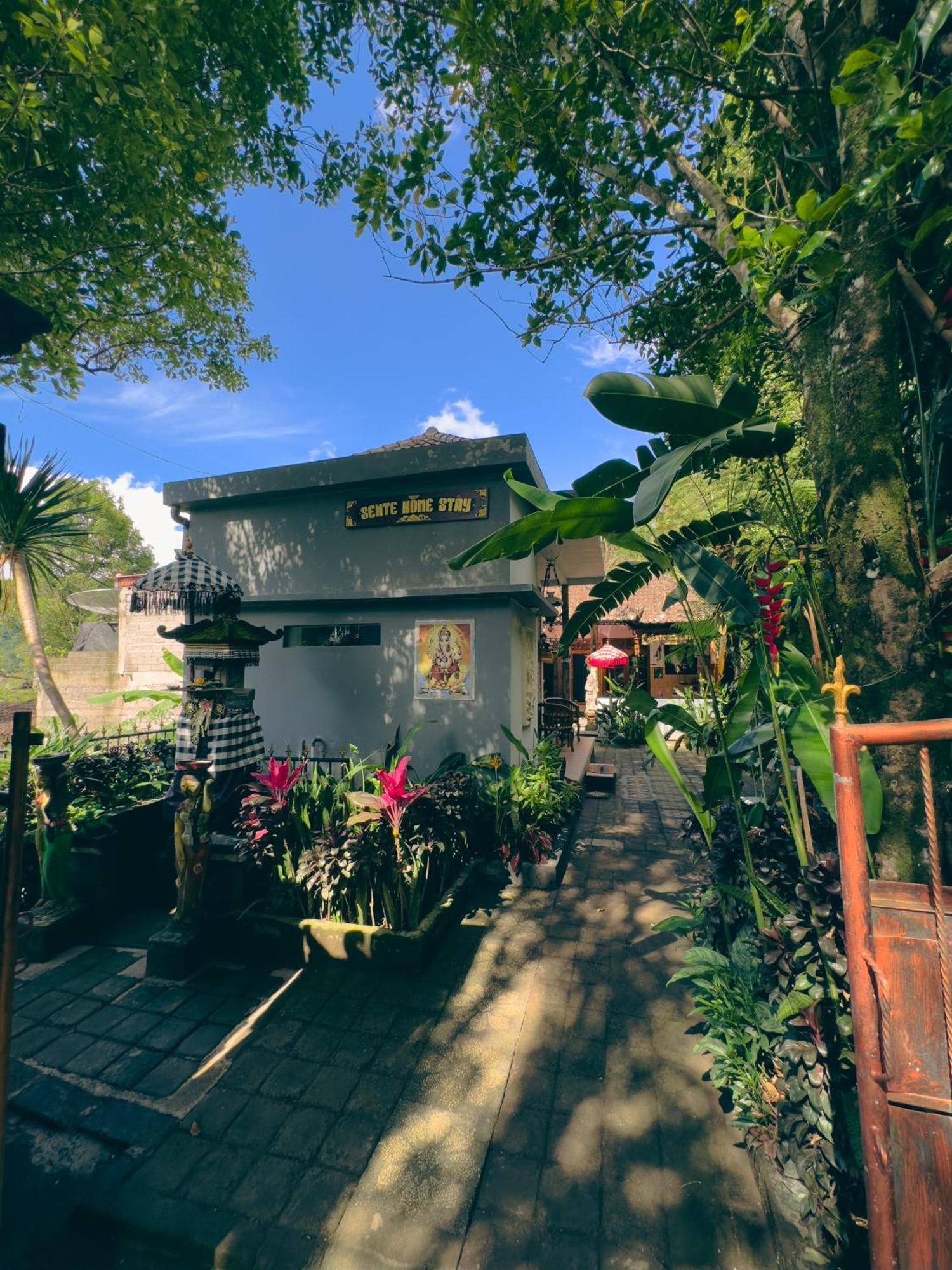 Homestay Sente Munduk エクステリア 写真
