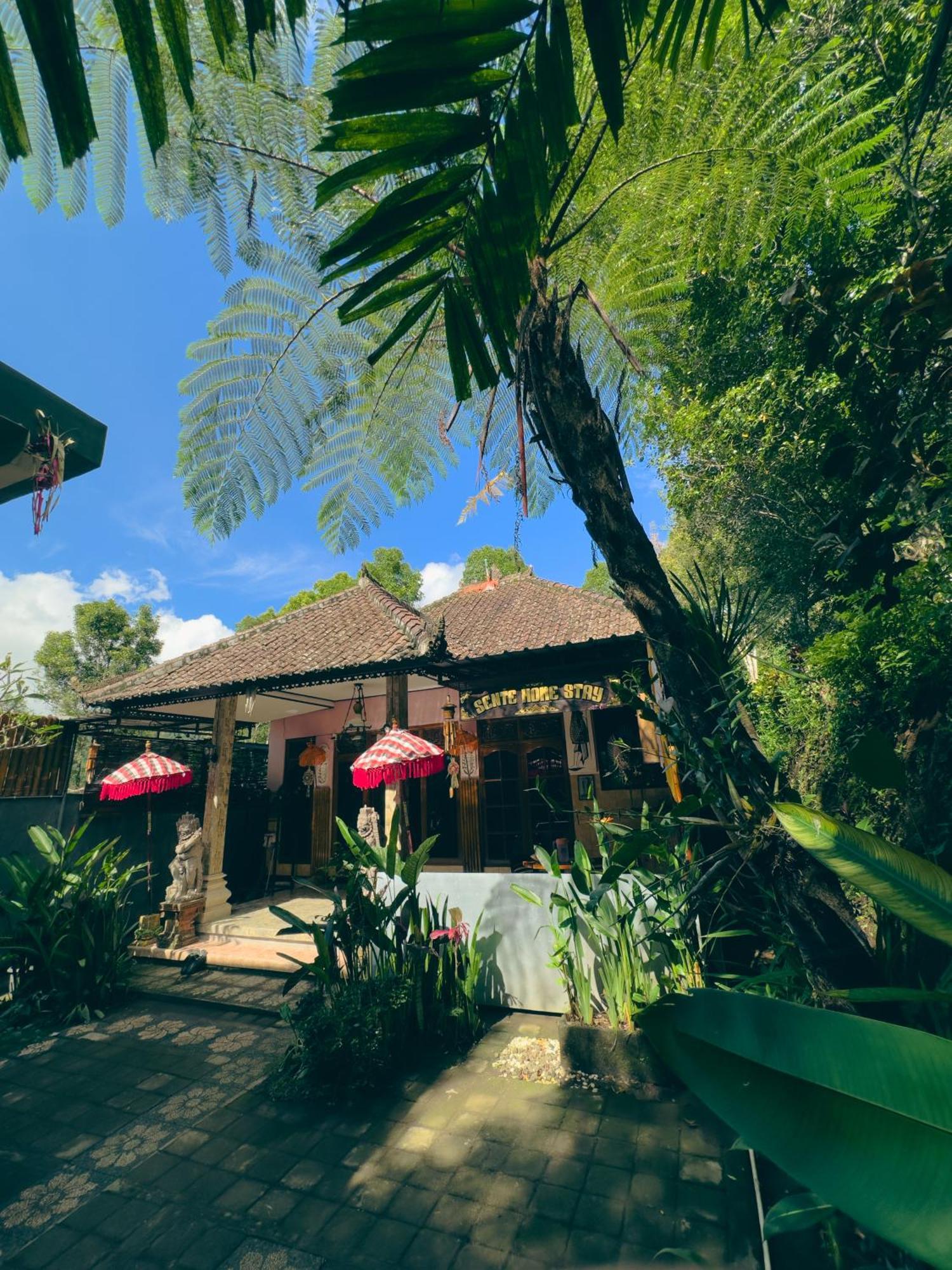 Homestay Sente Munduk エクステリア 写真